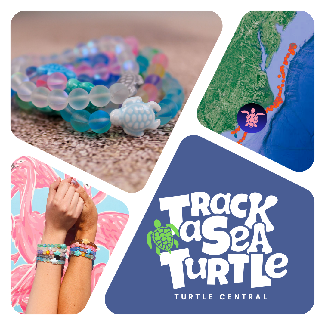 Sea turtle conservancy bracelet deals