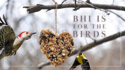BHI is for the Birds