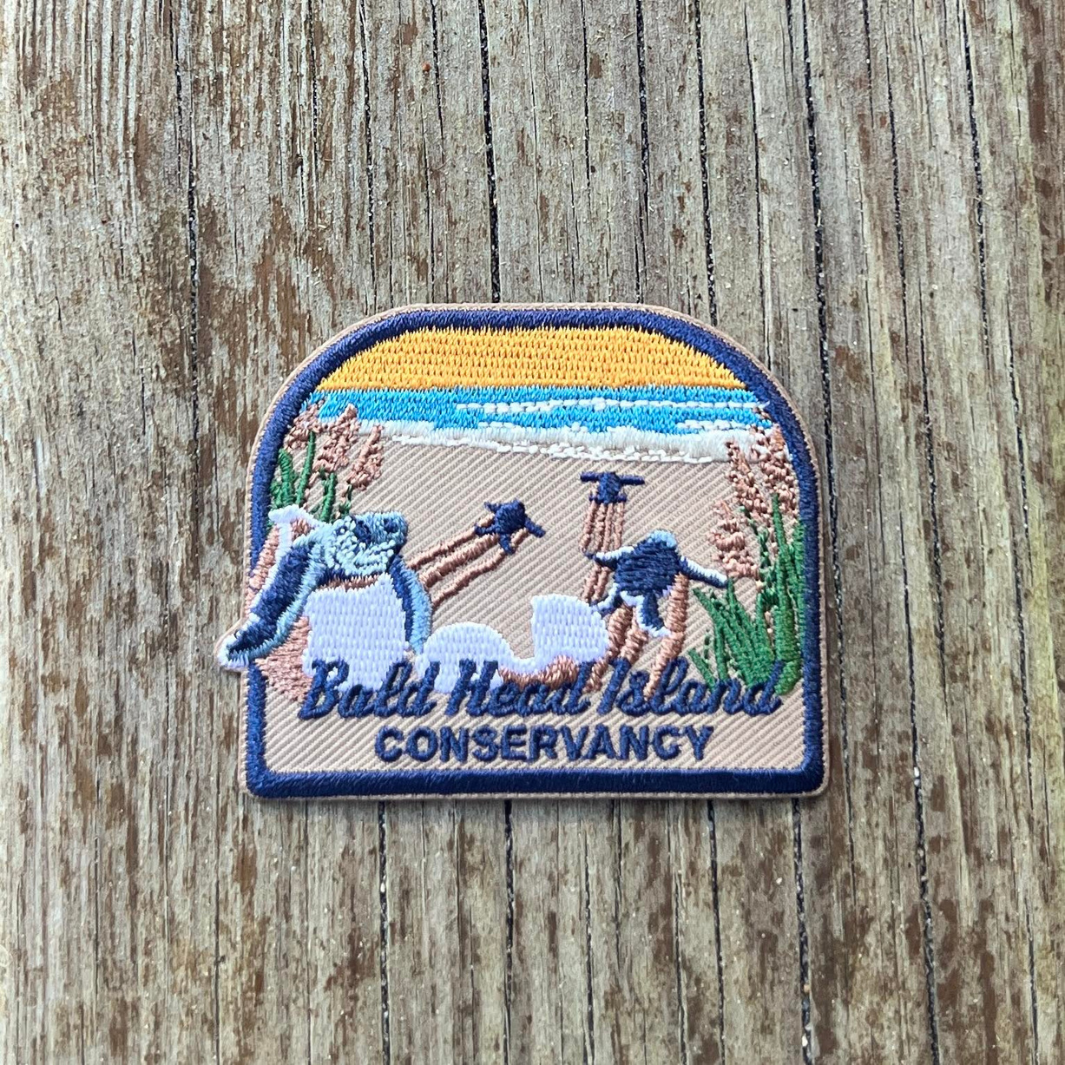 Hatchlings Journey Iron-On Patch – Turtle Central Gift Shop