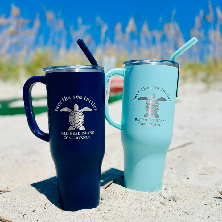 Personalised Gift - Big-Eye Tortoise Mug (Animal Sealife