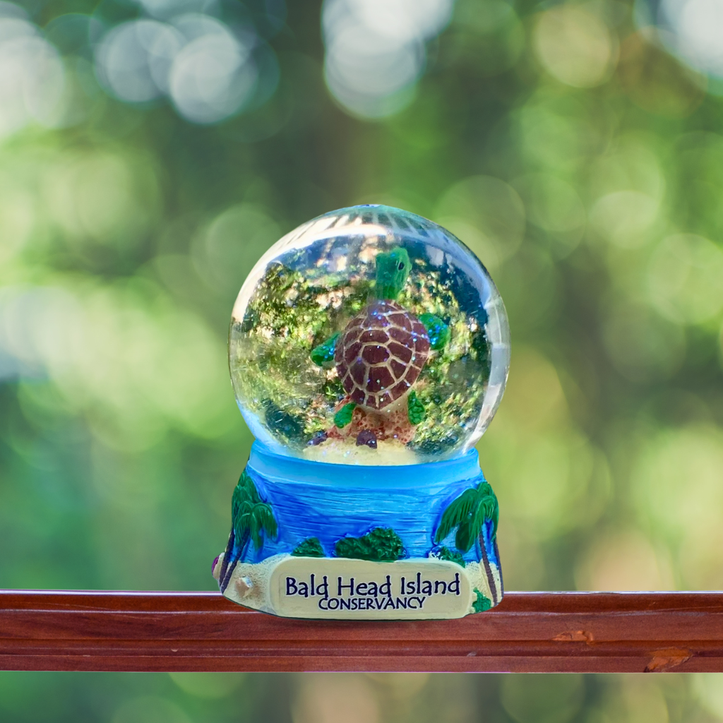 Sea Turtle Snow Globe – Turtle Central Gift Shop