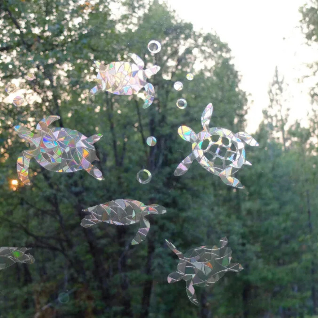 Sea Turtle Window Gems – Turtle Central Gift Shop