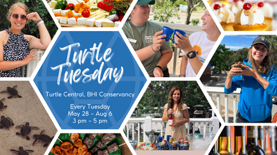 Turtle Central Gift Shop